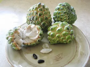 Sweetsop