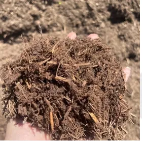 Cedar Mulch -Natural Premium
