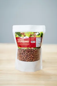 Freeze Dried Autumn Berries