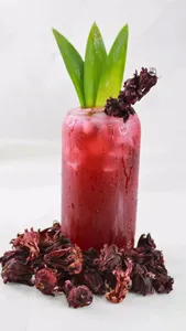 Sorrel
