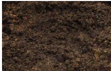 3-Way Soil