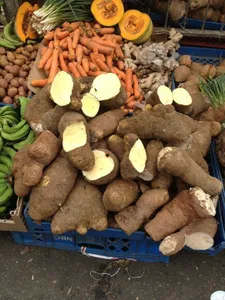 Yam