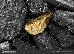 BLAC GOLD